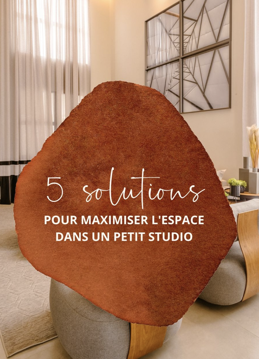 Vivre dans un petit studio ne signifie pas renoncer à l’esthétique ou à la fonctionnalité.